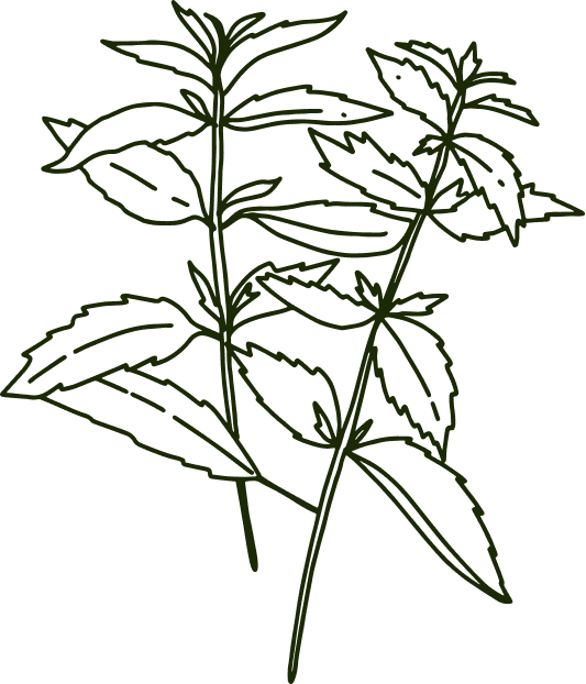 Decorative element