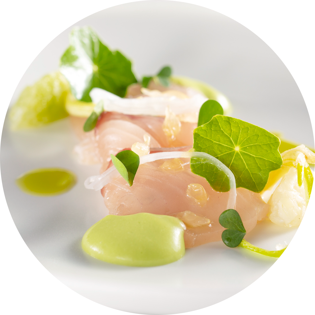 Poached egg dish